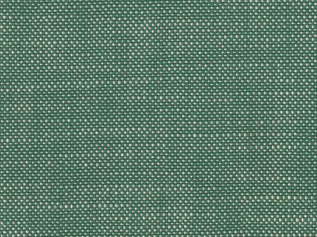 Perennials Rough 'n Rowdy Grass 955-250 Beyond the Bend Collection Upholstery Fabric