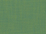 Perennials Rough 'n Rowdy Green Parrot 955-179 Beyond the Bend Collection Upholstery Fabric