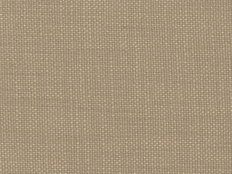 Perennials Rough 'n Rowdy Honed Limestone 955-71 Beyond the Bend Collection Upholstery Fabric