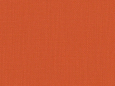 Perennials Rough 'n Rowdy Mandarin 955-167 Beyond the Bend Collection Upholstery Fabric