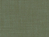 Perennials Rough 'n Rowdy Mint Leaf 955-52 Beyond the Bend Collection Upholstery Fabric