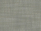 Perennials Rough 'n Rowdy Nickel 955-296 Beyond the Bend Collection Upholstery Fabric