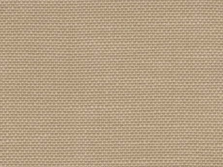 Perennials Rough 'n Rowdy Paper Bag 955-25 Beyond the Bend Collection Upholstery Fabric