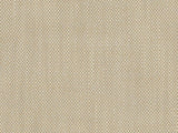 Perennials Rough 'n Rowdy Parchment 955-02 Beyond the Bend Collection Upholstery Fabric