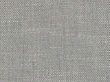 Perennials Rough 'n Rowdy Platinum 955-207 Beyond the Bend Collection Upholstery Fabric