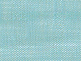 Perennials Rough 'n Rowdy Poolside 955-09 Beyond the Bend Collection Upholstery Fabric