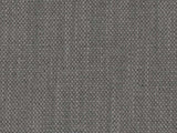 Perennials Rough 'n Rowdy Rhino 955-327 Beyond the Bend Collection Upholstery Fabric