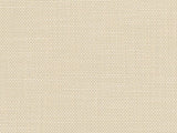 Perennials Rough 'n Rowdy Sand 955-23 Beyond the Bend Collection Upholstery Fabric