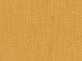 Perennials Rough 'n Rowdy Topaz 955-255 Beyond the Bend Collection Upholstery Fabric