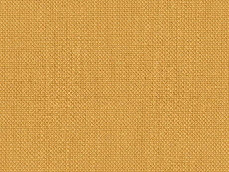 Perennials Rough 'n Rowdy Topaz 955-255 Beyond the Bend Collection Upholstery Fabric