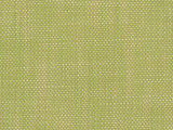 Perennials Rough 'n Rowdy Wasabi 955-305 Beyond the Bend Collection Upholstery Fabric