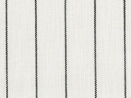 Perennials Rough Outline Blanca 875-28 The Usual Suspects Collection Upholstery Fabric