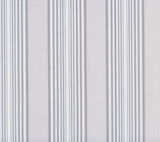 Phifertex Gradient Cabana Silver Mist 0LR Stripes 54-Inch Sling Fabric