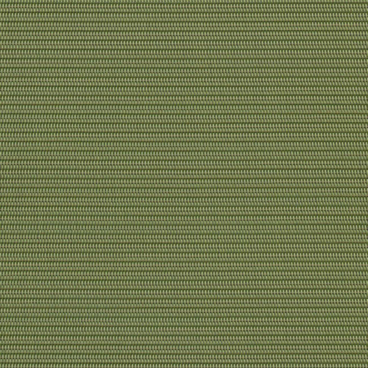 Phifertex Plus Dupione Kiwi DJ7 54-inch Sling Fabric