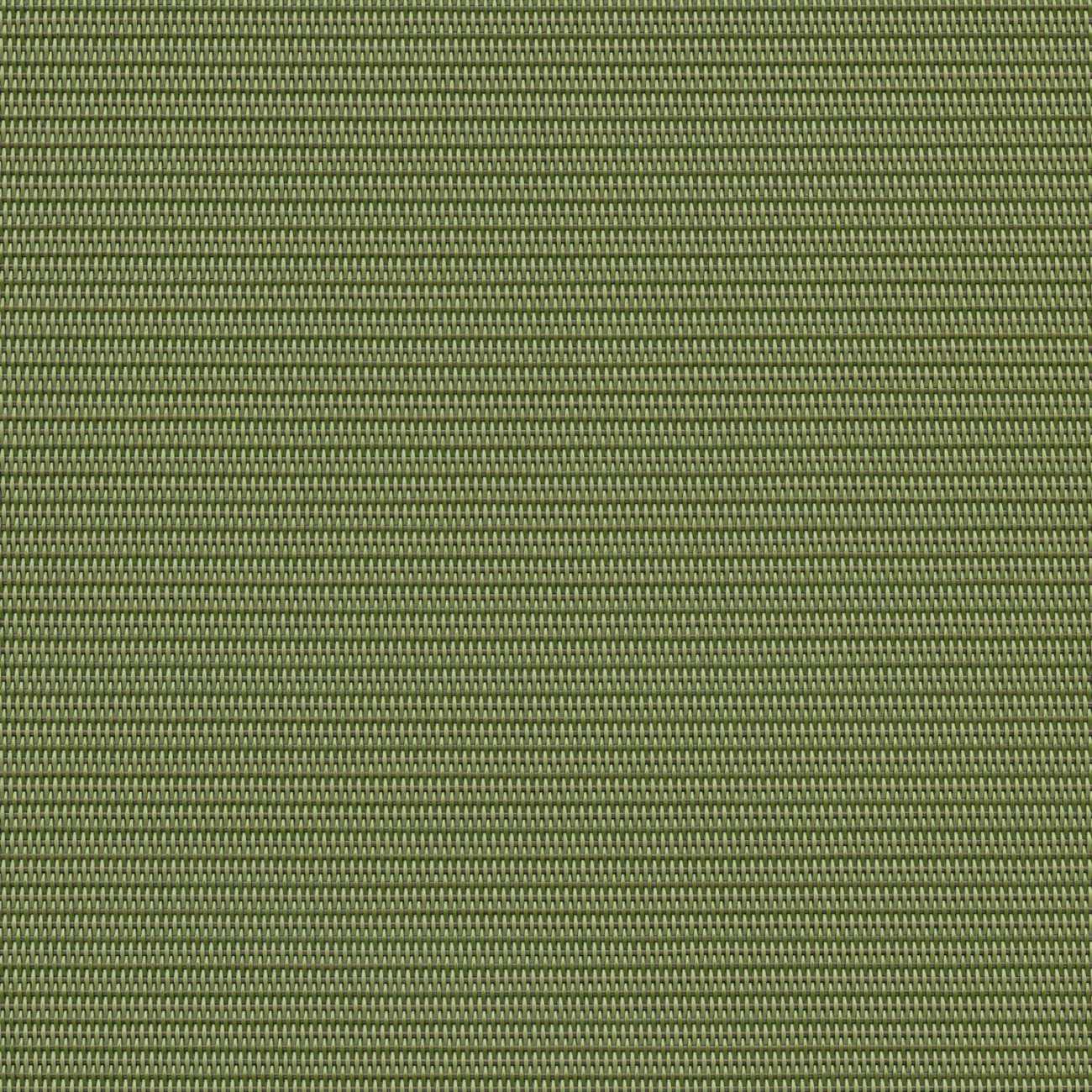 Phifertex Plus Dupione Kiwi DJ7 54-inch Sling Fabric
