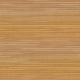 Phifertex Plus Dupioni Apricot KFE 42x14 54-inch Sling Fabric