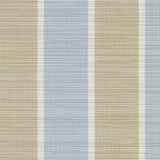 Phifertex Stripes Fiji Stripe Morning Blue LPS 42x14 54-inch Sling Fabric