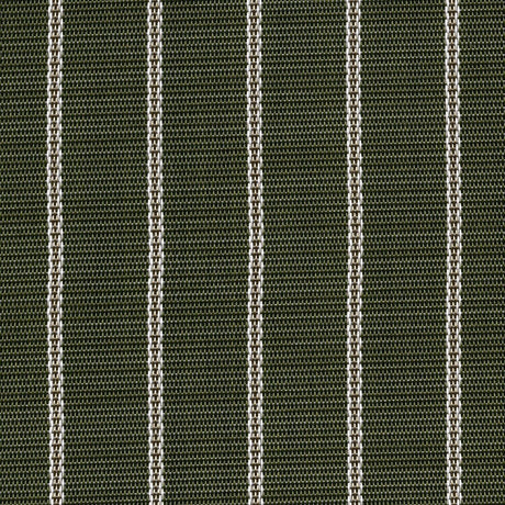 Phifertex Stripes Whisper Stripe Moss DEQ 42x14 54-inch Sling Fabric