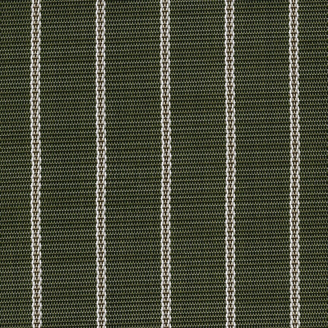 Phifertex Stripes Whisper Stripe Moss DEQ 42x14 54-inch Sling Fabric