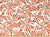 View fabric To Buy: Premier Prints Aria Fiesta Upholstery Fabric