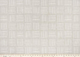 Premier Prints Brave Believe Slub Canvas Shibori Theory Collection Multipurpose Fabric