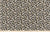 View fabric To Buy: Premier Prints Dayo Topaz Cotton The Wild Things Collection Multipurpose Fabric