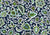View fabric To Buy: Premier Prints Faxon Oxford Upholstery Fabric