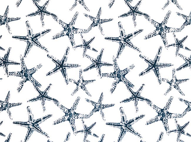 Premier Prints Sea Friends Oxford Upholstery Fabric