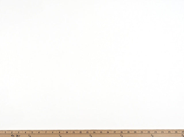 Premier Prints Unprinted 7oz Cotton White Premier Basics Collection Multipurpose Fabric