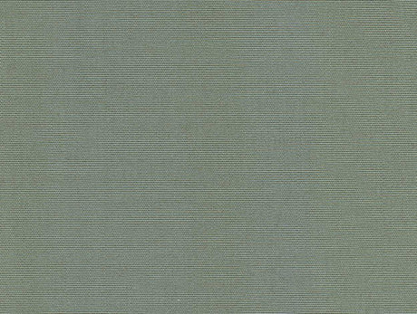 Recacril Sens Solid Aluminum D-205 Upholstery Fabric