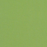 Remnant - Sunbrella Canvas Ginkgo 54011-0000 Elements Collection Upholstery Fabric (0.92 yard piece)