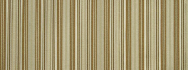 Robert Allen Art Lines Vanilla 228123 Color Library Collection Multipurpose Fabric
