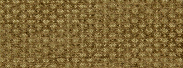 Robert Allen Ashcroft Golden 228108 Color Library Collection Multipurpose Fabric