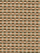 Robert Allen Bacall Fern Color Library Collection Indoor Upholstery Fabric