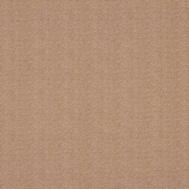 Robert Allen Benetello Twig Color Library Collection Indoor Upholstery Fabric