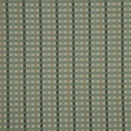 Robert Allen Grandma Mary Graphite 221706 Color Library Collection Multipurpose Fabric