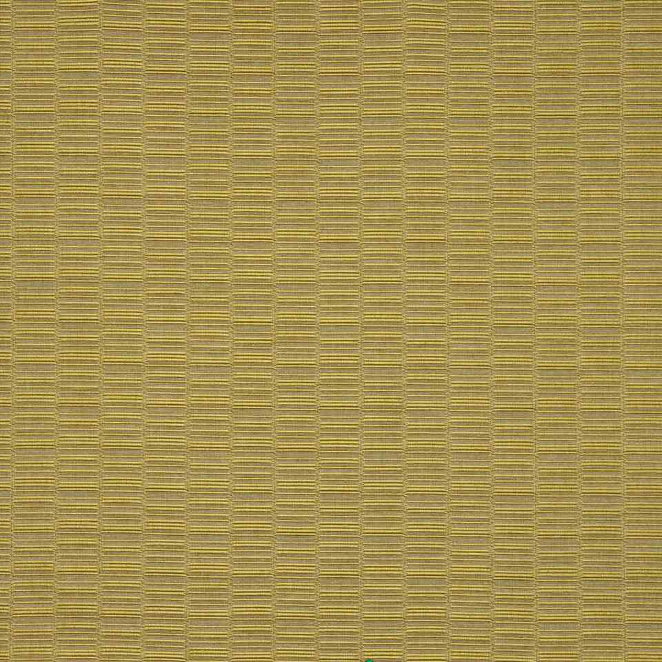Robert Allen Its Electric Zest 221057 Color Library Collection Indoor Upholstery Fabric