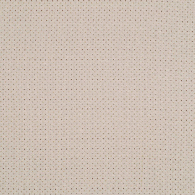 Robert Allen Kearney Twig Color Library Collection Indoor Upholstery Fabric