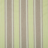 Robert Allen Little Brooke Spring Grass Color Library Collection Indoor Upholstery Fabric