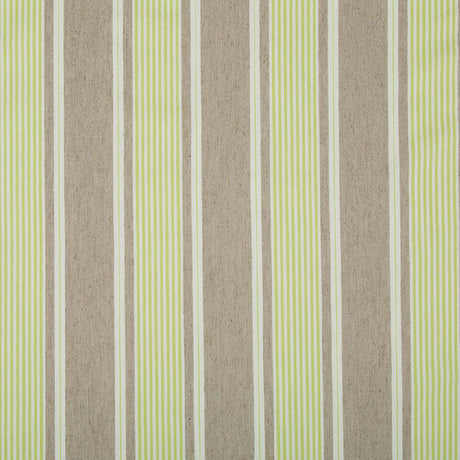 Robert Allen Little Brooke Spring Grass Color Library Collection Indoor Upholstery Fabric