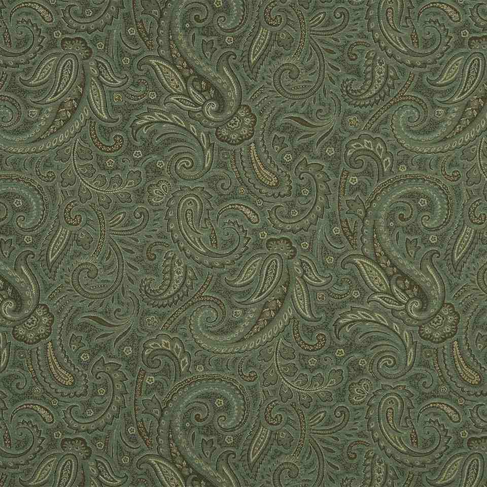 Robert Allen Modern Paisley Aloe 224475 Color Library Collection Indoor Upholstery Fabric