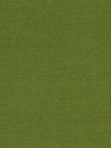 Robert Allen Sunbrella Contract St Tropez Keylime 222298 Upholstery Fabric