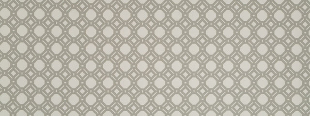 Robert Allen Urban Legend Sterling 248903 Color Library Collection Multipurpose Fabric