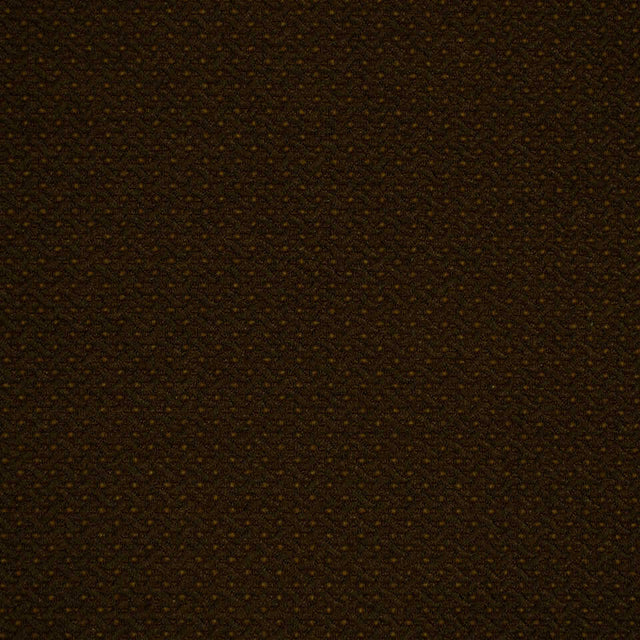 Robert Allen Wee Dots Terrain Color Library Collection Indoor Upholstery Fabric