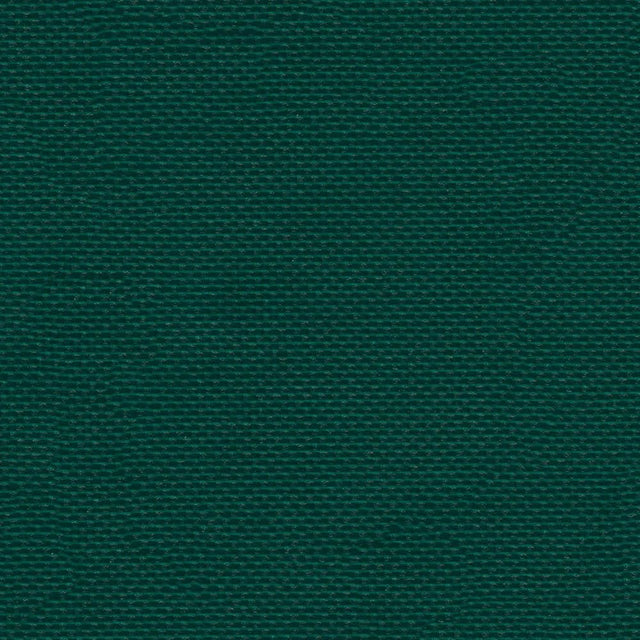 AbbeyShea Apollo 2009 Forest Green Tarp Fabric