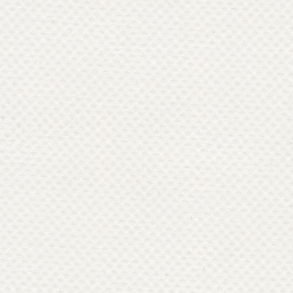 Sample of AbbeyShea Apollo 6 White Tarp Fabric