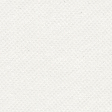 Sample of AbbeyShea Apollo 6 White Tarp Fabric
