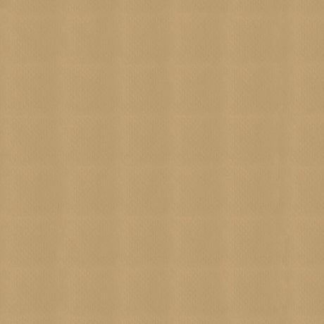 AbbeyShea Apollo 68 Beige Tarp Fabric