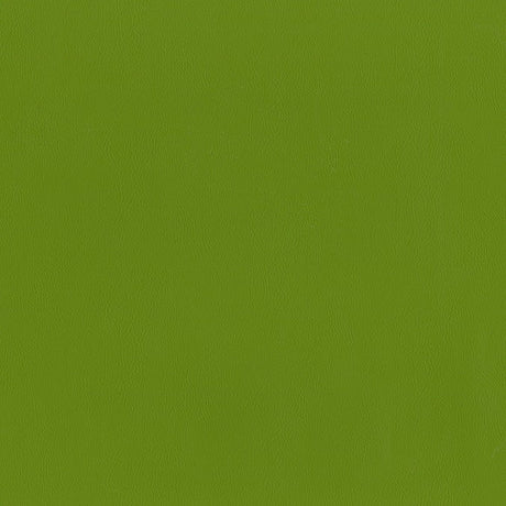 Sample of AbbeyShea Guardian 205 Spring Automotive Seating and Upholstery Fabric
