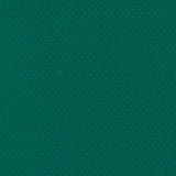 Sample of AbbeyShea Mercury 205 Medium Green 61 - Inch Tarp and Awning Fabric